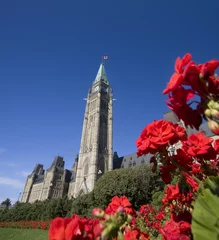 Foto op Plexiglas Parliament of Canada and red flowers on the foreground © vlad_g