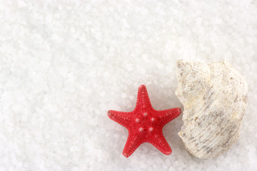 Fototapeta na wymiar Starfish and seashell on bath salt