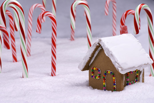 Christmas Ginger Bread Cottage In Candy Cane Forest