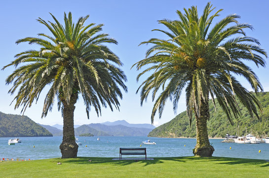 Picton Harbour, New Zealand