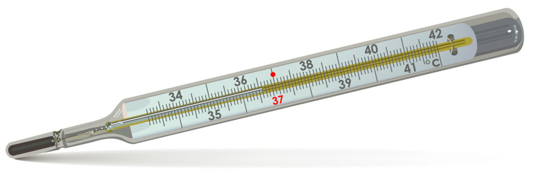 The Medical Thermometer