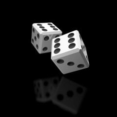 two white dices