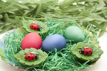 Ostereier mit Marienkäfer