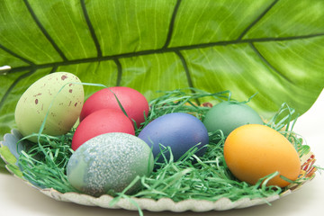 Osternest vor grünen Blatt