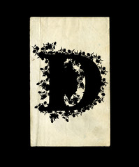 Letter D.