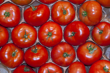 Tomates rondes sur l'étalage d'un supermarché (fruits et légumes