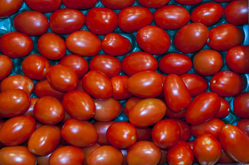 Tomates alongées sur l'étalage d'un supermarché (fruits et légum