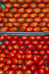 Tomates alongées sur l'étalage d'un supermarché (fruits et légum