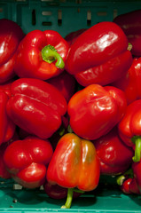 Poivrons rouges sur l'étalage d'un supermarché (fruits et légume