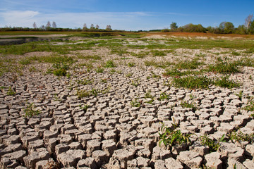 Dried and cracked soil under blue sky