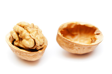 walnut