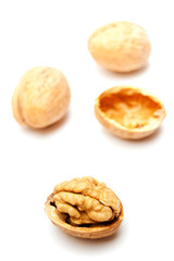 walnut