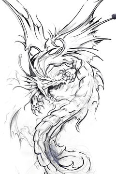 Tattoo art, sketch of a dragon