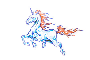 Tattoo art, sketch of an unicorn