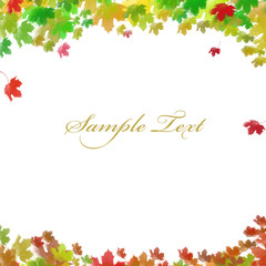 maple leaf falling with copy space