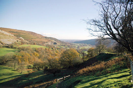 View above Trevor Uchaf