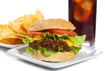 hamburger with vegetables and fries