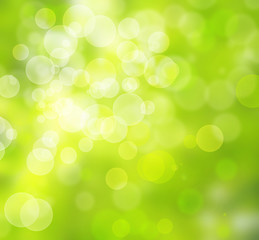 Obraz premium beautiful green bokeh background