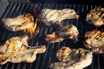 Pork chops being cooked outdoors on a gass grill.