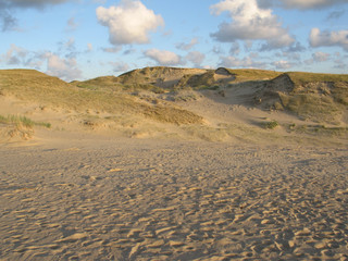 Dunes in Neringa, Lithuania