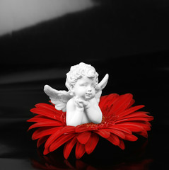 Angel and a flower