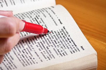 Red marker on the word learn in dictionary