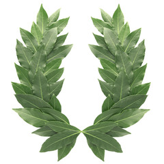 Fototapeta premium Laurel wreath isolated