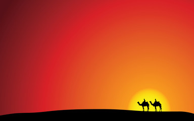 Fototapeta na wymiar Camels at Sunset