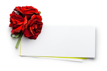 Card and roses isolated on white