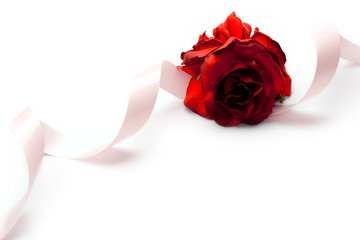 Fototapeta na wymiar Rose and ribbon isolated on white