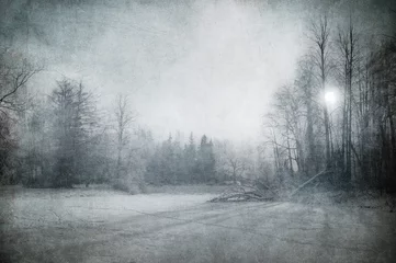 Gordijnen grunge image of winter landscape © javarman
