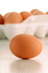 Chicken eggs on kitchen table