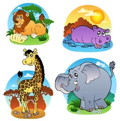 Peel and stick wall murals Zoo Various tropical animals 1