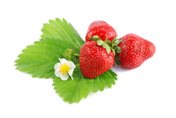 Strawberries with leaves and flower