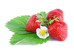 Strawberries with leaves and flower