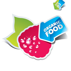 Icon raspberry with an arrow by organic food
