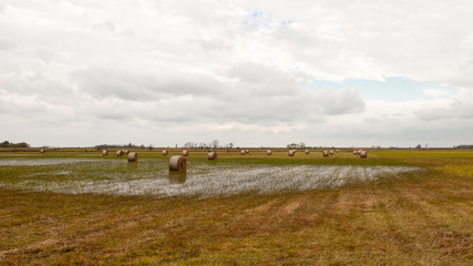 Fototapeta premium Strohballen