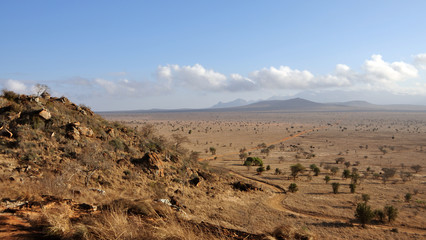 Fototapeta na wymiar Afrikanische Steppe Panorama