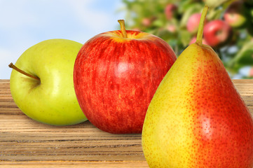 Obst 170