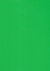 Green cardboard texture