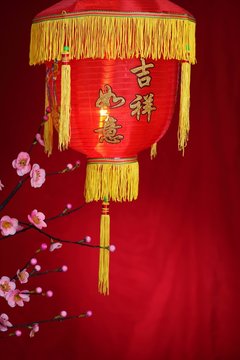 Chinese new year decoration