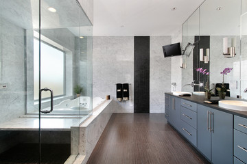 Fototapeta na wymiar Sleek master bath in luxury home