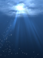 The underwater world