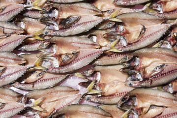 Dried fish on the market in Thailand