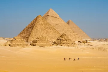 Foto op Plexiglas Egypte Kamelenlijn Wandeling Piramides Alles