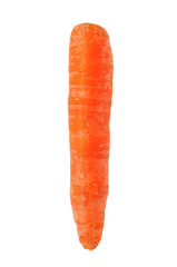 Organic Carrot