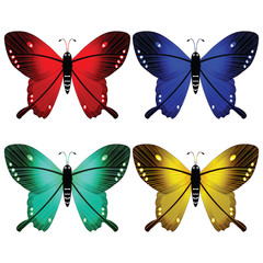 Obraz premium butterflies against white