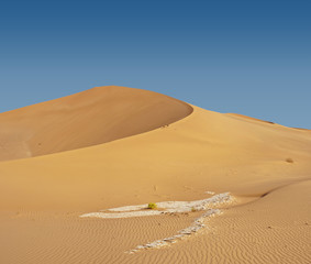 Fototapeta na wymiar Wydmy na pustyni