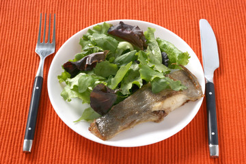 fried flounder with salad