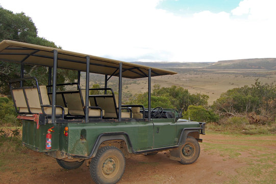 Fototapeta On Safari